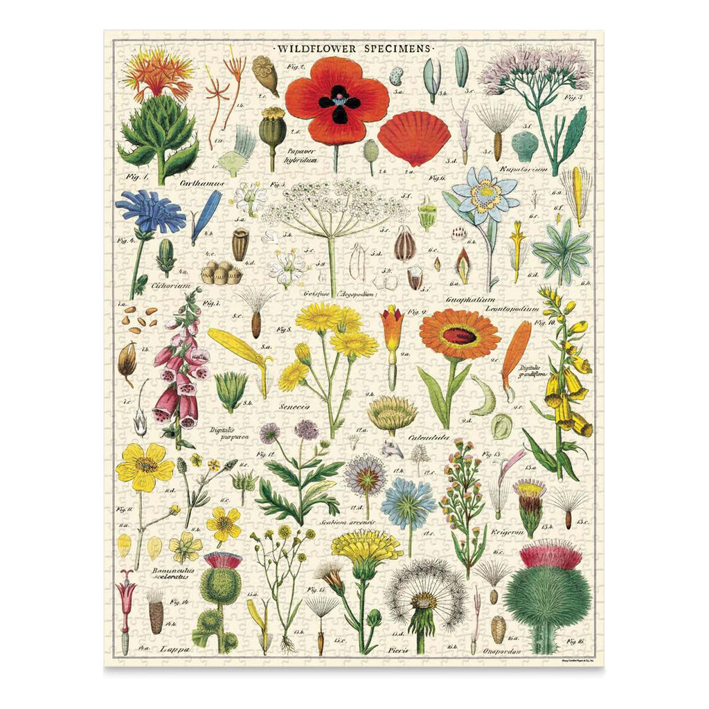 Cavallini & Co. Wildflowers — quebra-cabeça montado