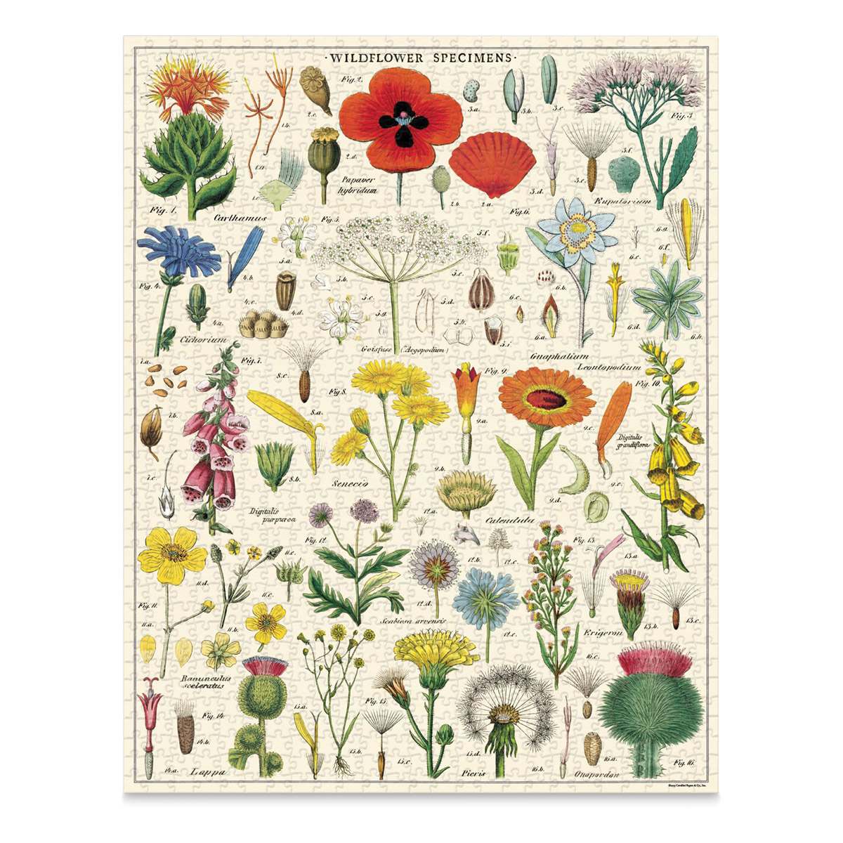 Cavallini & Co. Wildflowers — quebra-cabeça montado