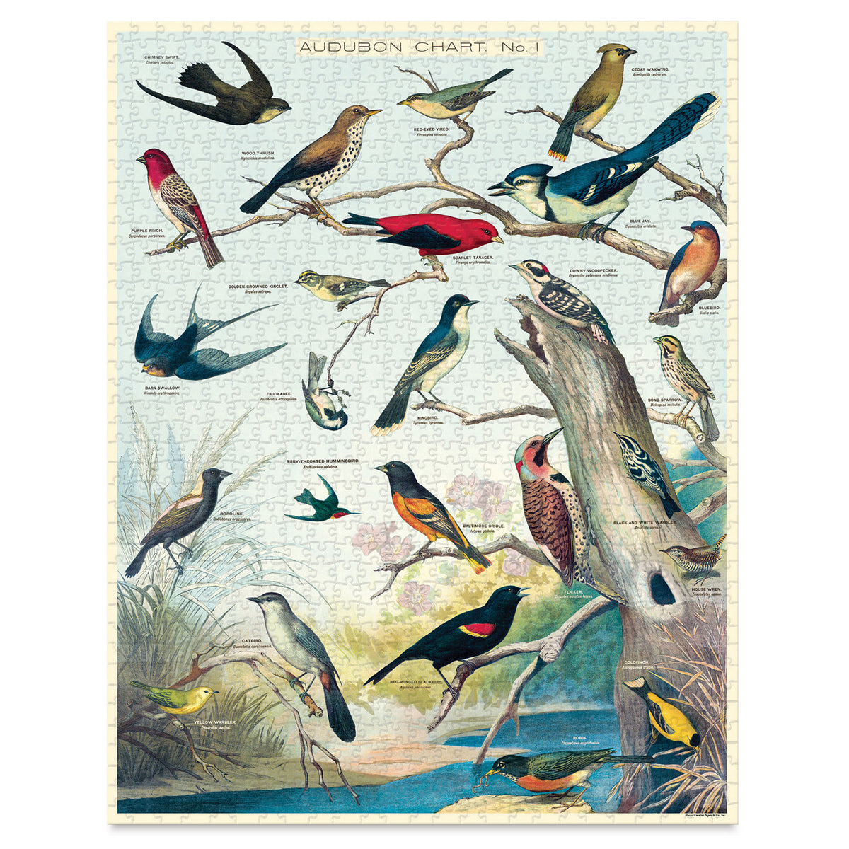 Cavallini & Co. Audubon Birds — quebra-cabeça montado
