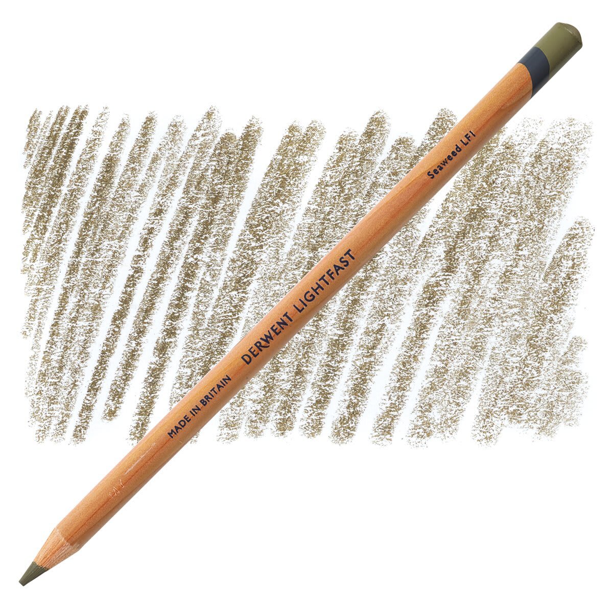 Lápis Derwent Lightfast Seaweed e amostra da cor
