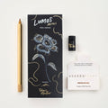 Tom’s Studio Lumos Brass Single: uma caneta de ponta única com embalagem, conjunto de pontas e amostra de tinta inclusos